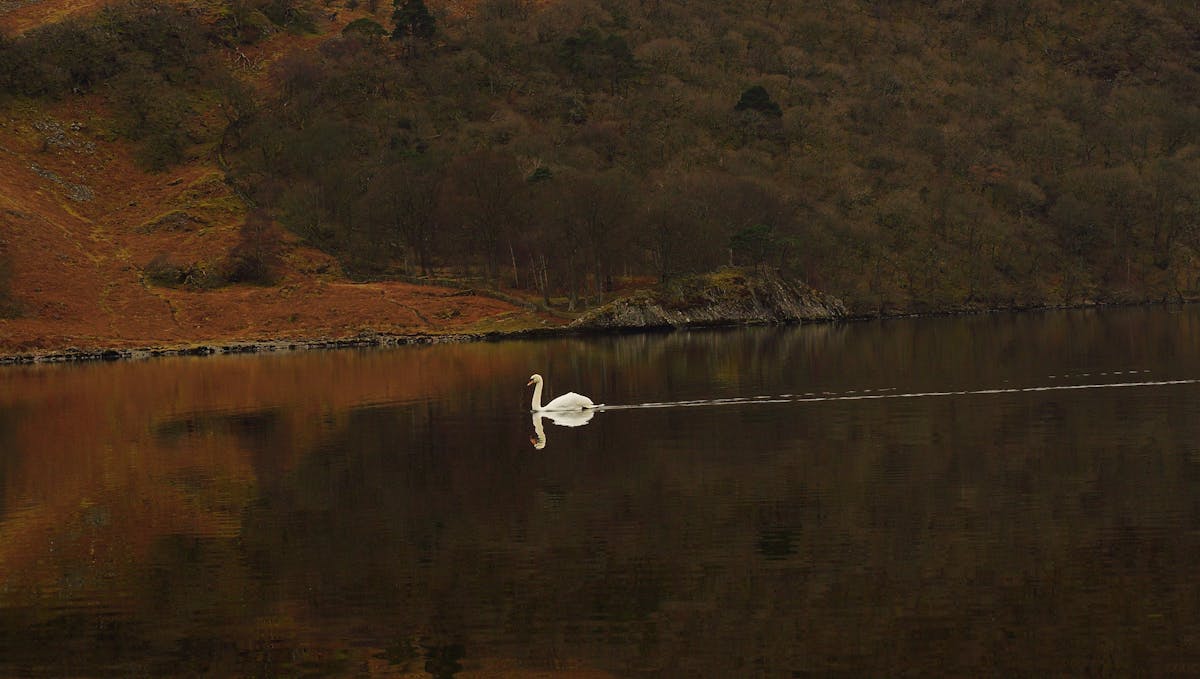 ¿La excarcelación de Nahuel Gallo es un golpe de Estado en...