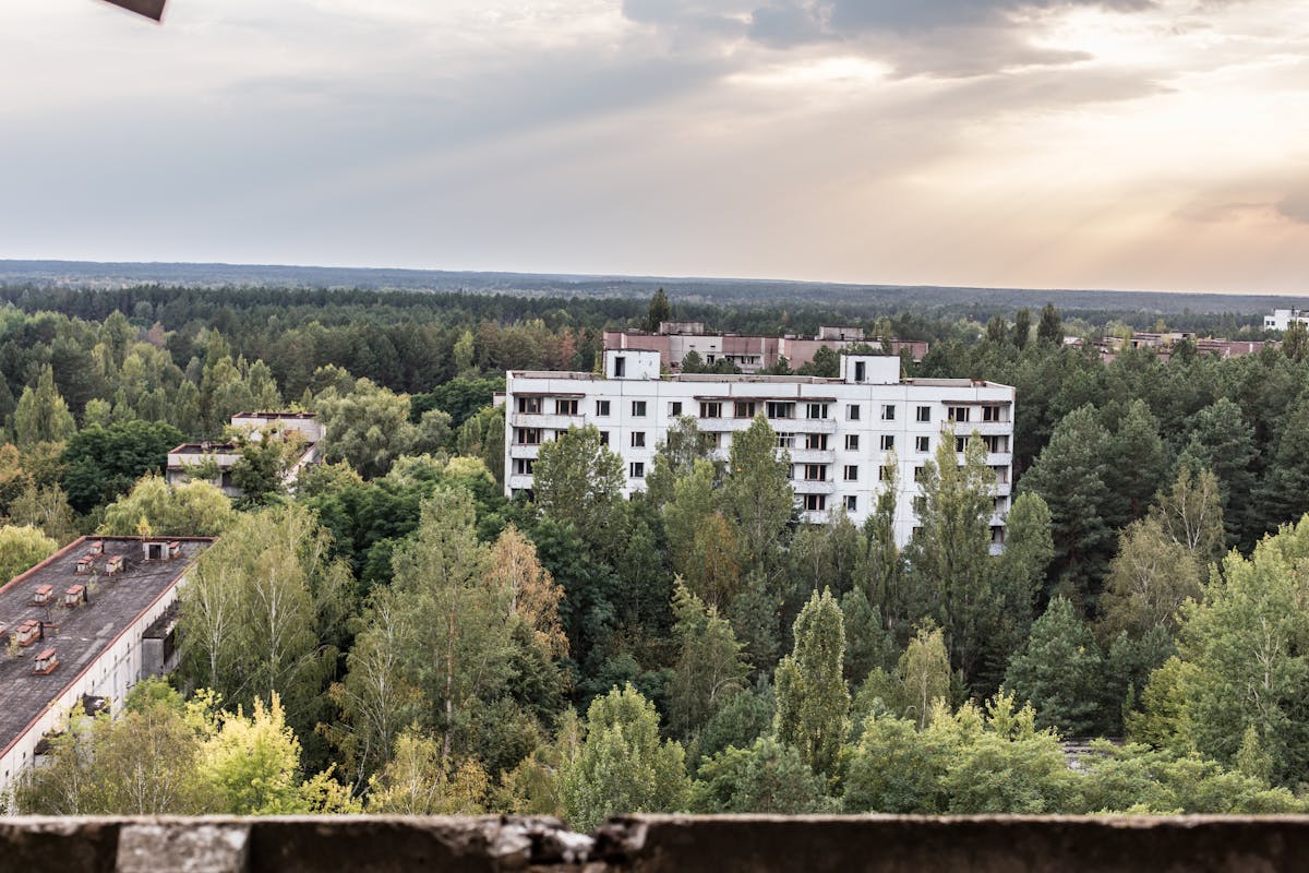 No te pases: ¿Eso es el fin del mundo o solo el fin de Trump? 🚩