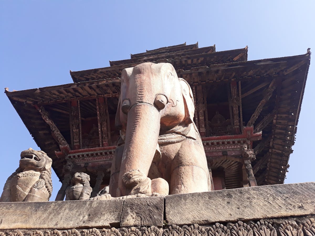 🚫 ¿Quién se Atreve a Prohibir la Therianidad en Honduras?