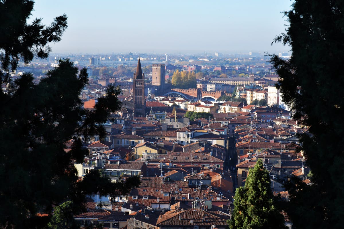 🤯 ¿Fútbol Rápido en Vivo? ¡Pasa la Bola, ¡Pasa la Pena!
