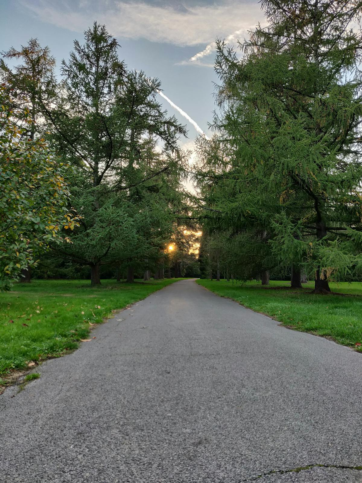 🤯 ¿Fonseca se Curó o Solo Finge Estar Bien?