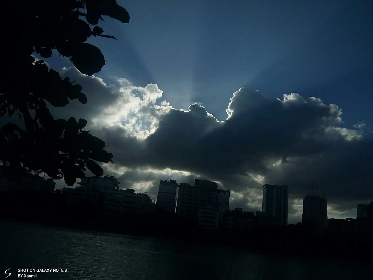 ¿Golpismo es de moda? 🚫 ¡Vende más que tequila en la Navidad!