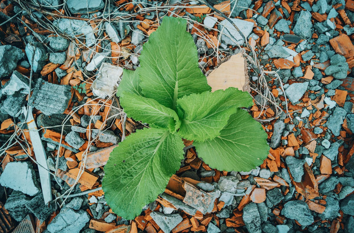 ¿Por qué llegas tarde cuando la vida de una persona depende? 🤕