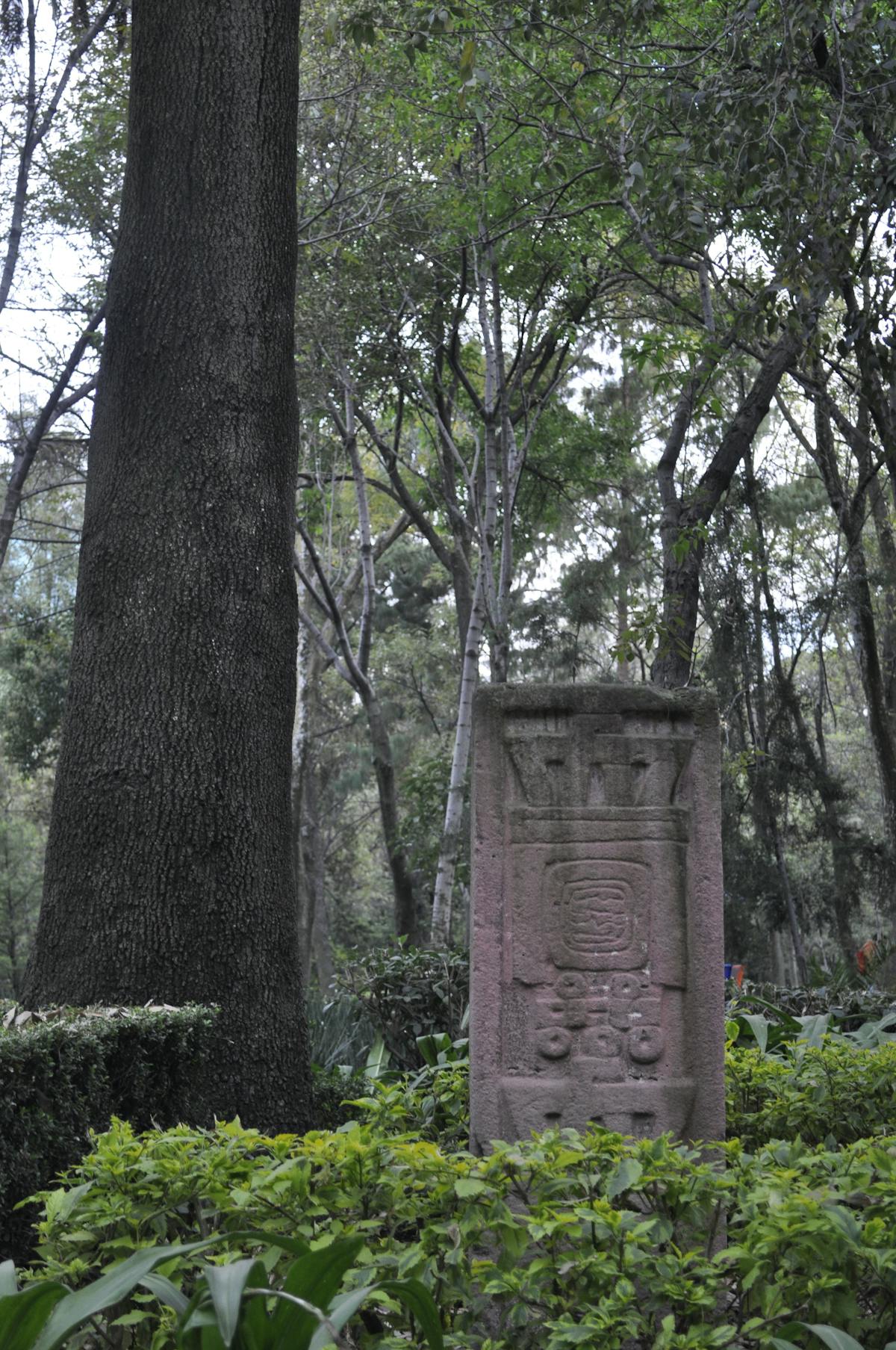 🚩 ¿Ya te enteraste? Esto es el último día de Noem al mando...