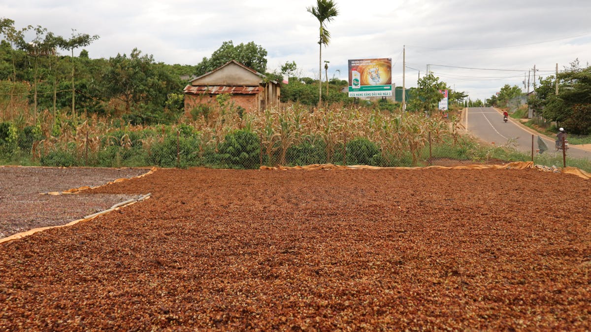 ¿Qué onda con la igualdad si solo hay 3 mujeres en el consej...