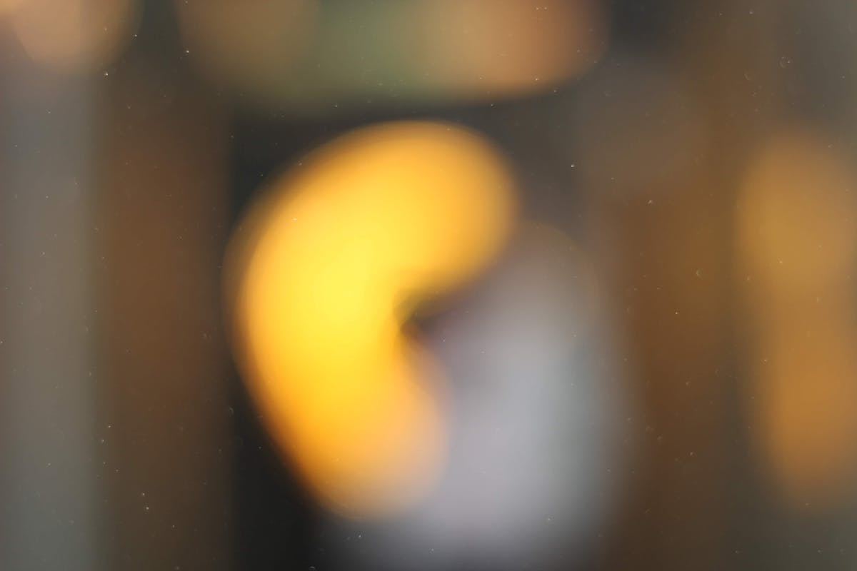 ¿La UE y Canadá Acordarán El Proximo Acuerdo De Comercio D...