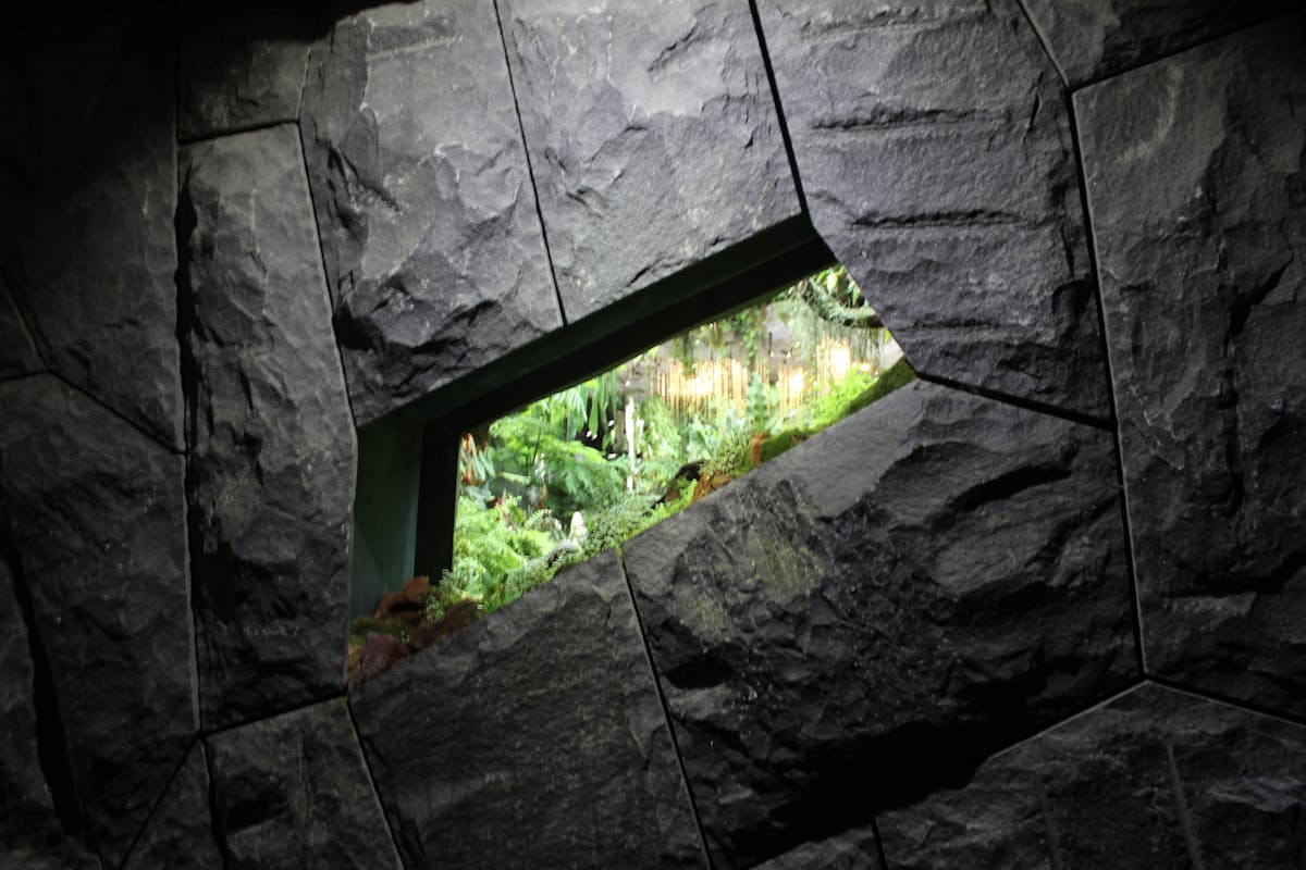 ¿Puedes Federar un Juego de Pelota Maya en el Jardín de Tu Cas...