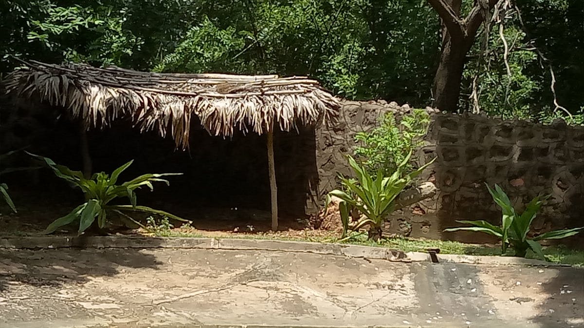 🏔️ ¡Avanza la ley de la selva! ¿Cuántos más tendrán que morir ...
