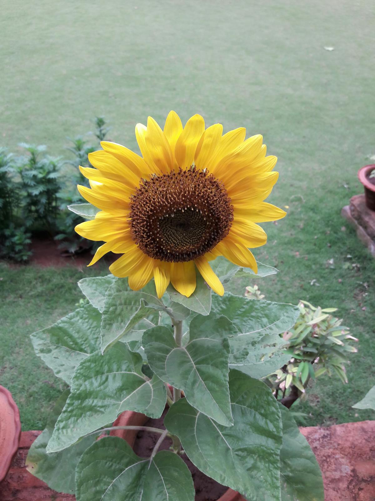 Esto es oro: ¿La Ciudad de México Está Prepar...