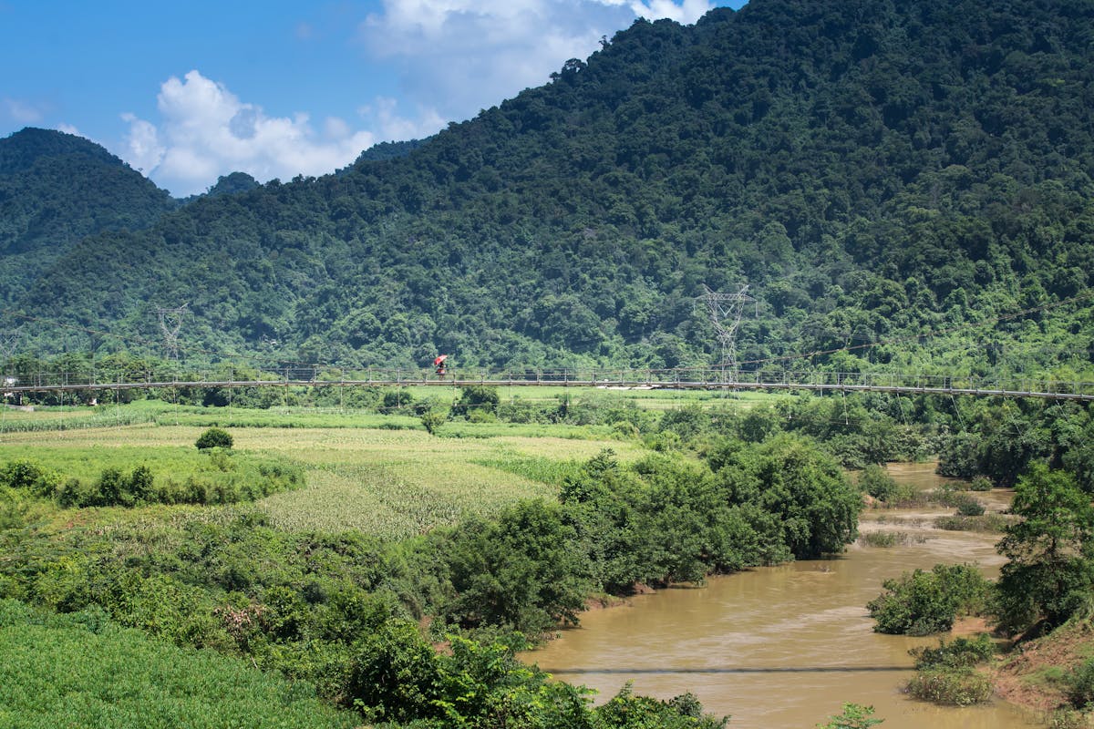 ¿Paz en Colombia? Solo si Trump es el árbitro 🇨🇴