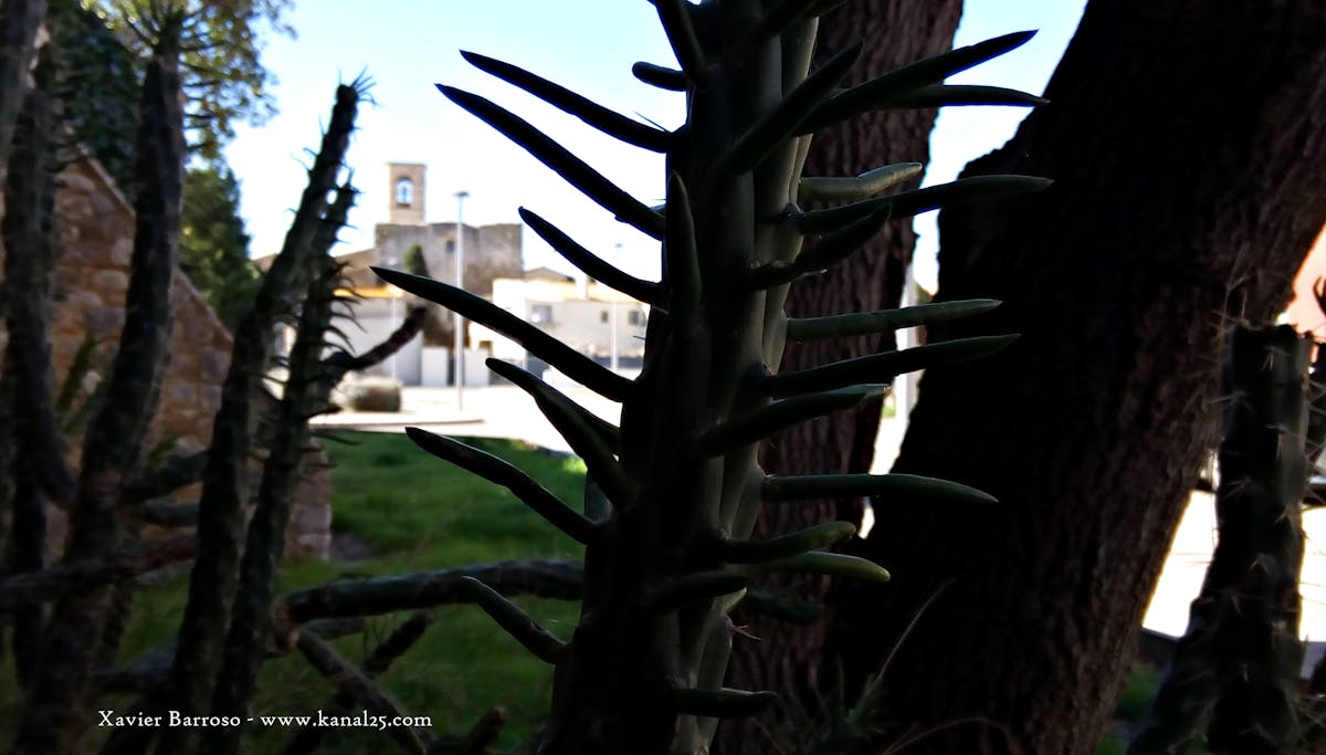 ¿Vacunados ya, güey? 🤕️ Del 7 al 15 de mayo. ¡Atención!