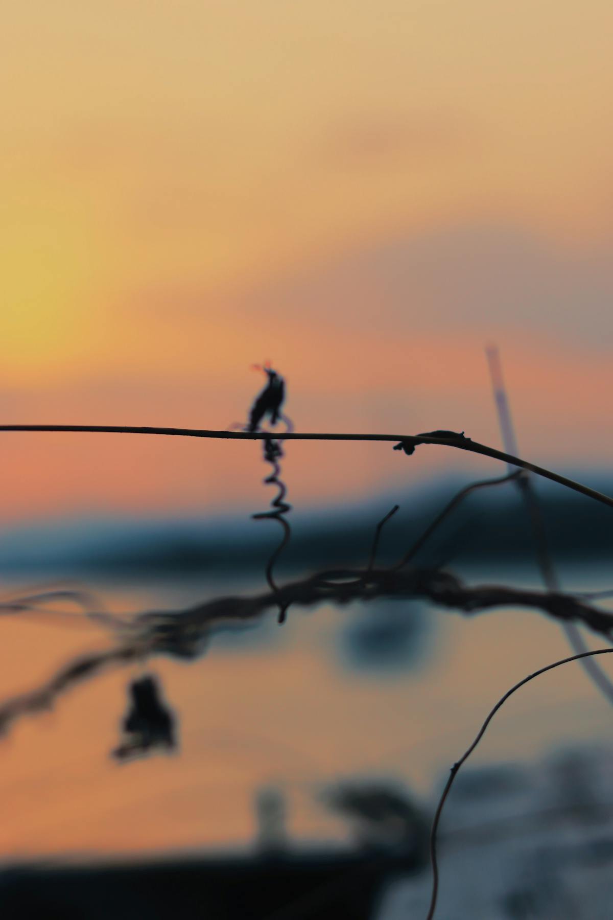 Te lo Resumo: ¿Irán vs EEUU e Israel? ¡México se Pone Al C...