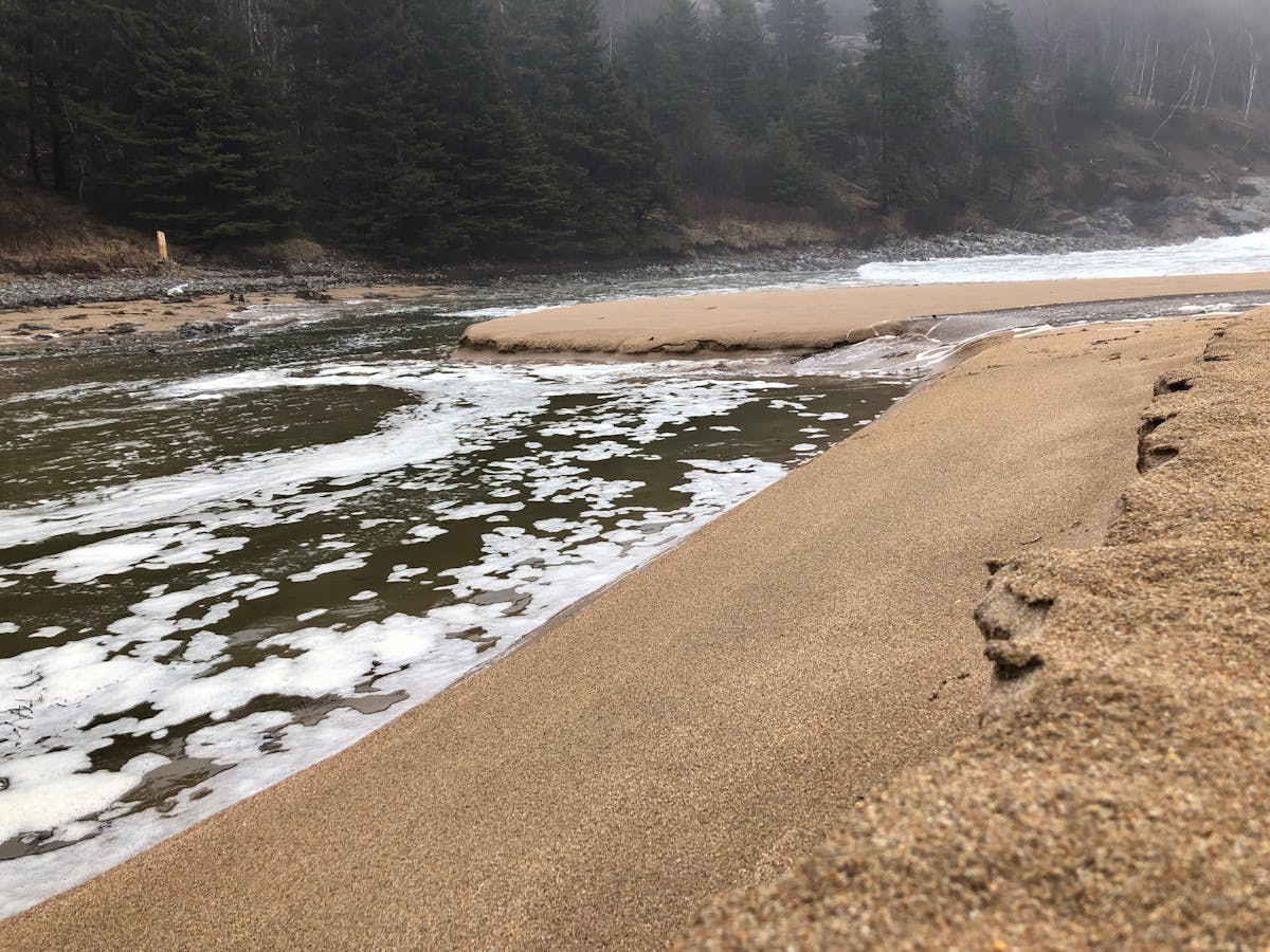 🚨 ¿La FIFA va a evaluar la seguridad o solo el tráfico? Sheinb...