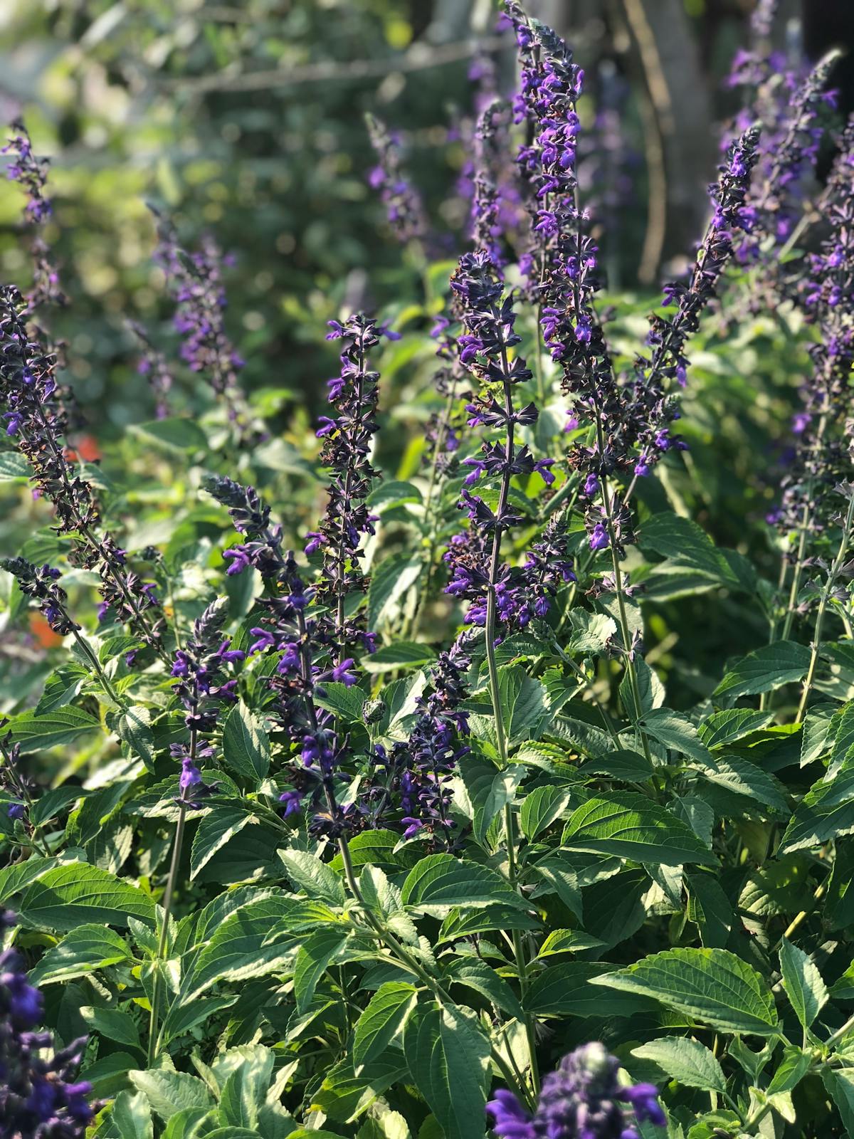 ¡Lo que le sale al Real Madrid! 🚫 ¿Cómo se cae el equipo más c...