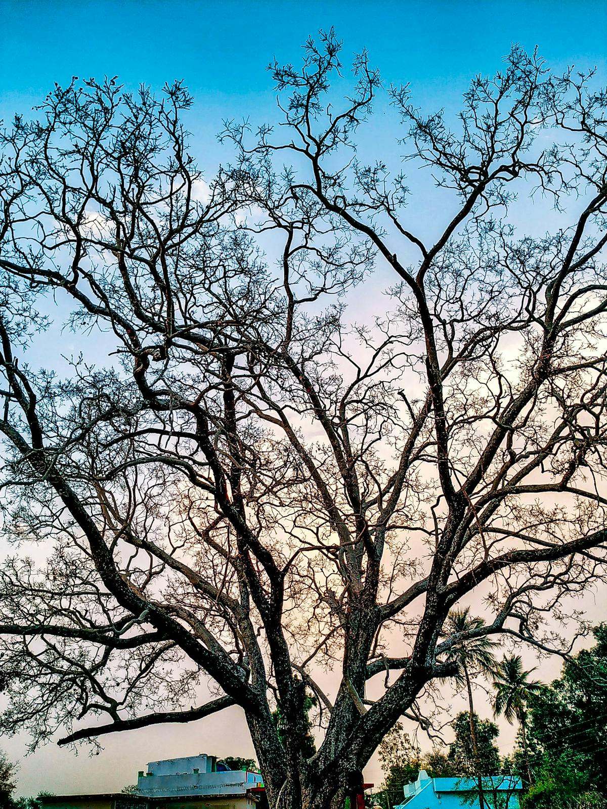 🚫 ¿La UE es Un Reto para Los Negocios o Solo Un Desafío para l...