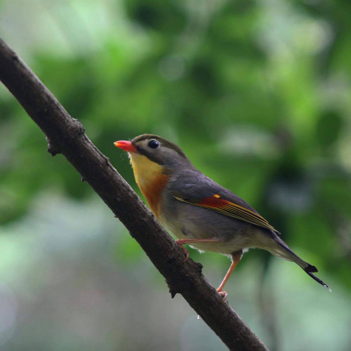 ¿México te perdonará si le pides perdón? 🤷‍♂️