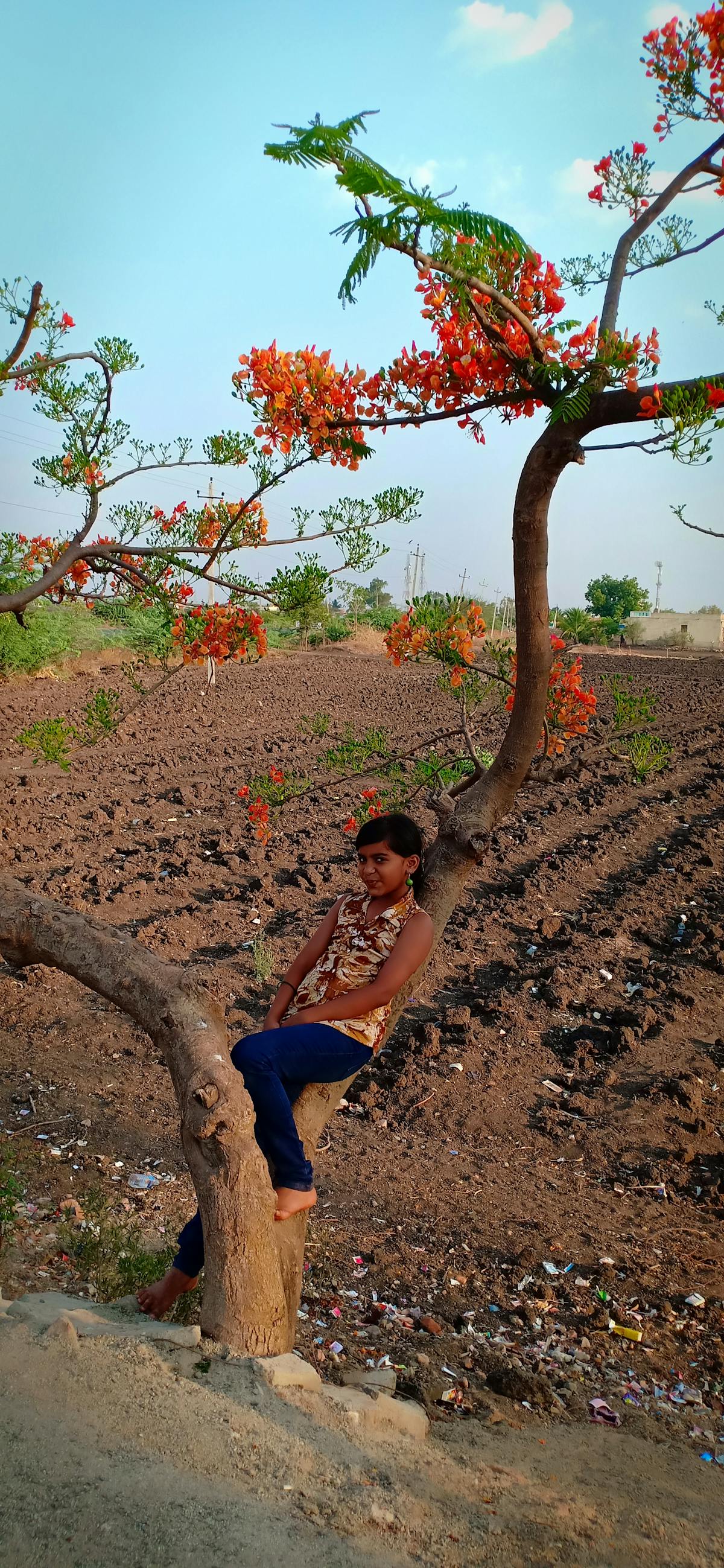 ¿Dónde es que salen los datos si no usas Cloud? 🤯