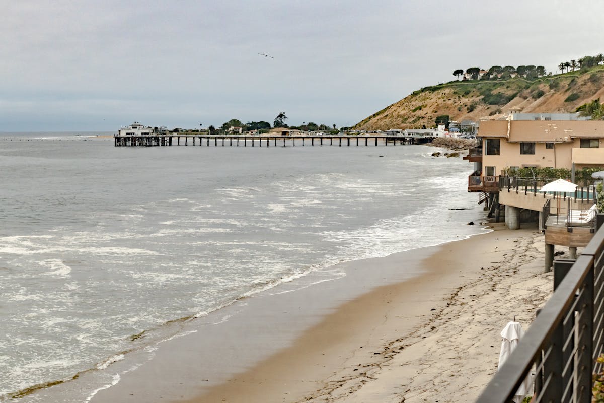¿Un perro detector disciplinado? ¡Eso es un juego de niños (co...