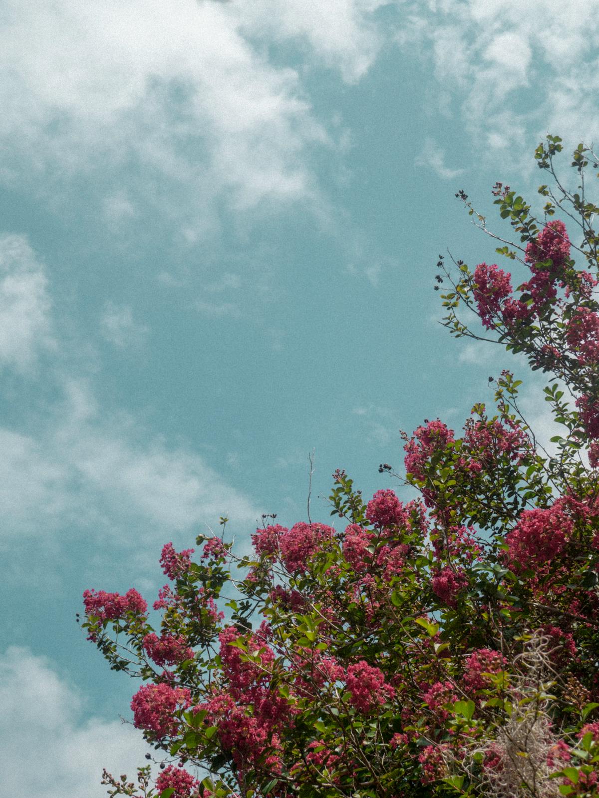 🚨 ¿El Mencho Leaked Call es la nueva Telenovela de México? 📣