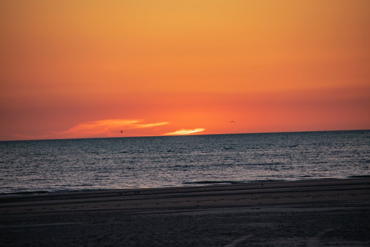 ¿Te saldrás con la tuya en CDMX o te quedas sin datos? 🚩