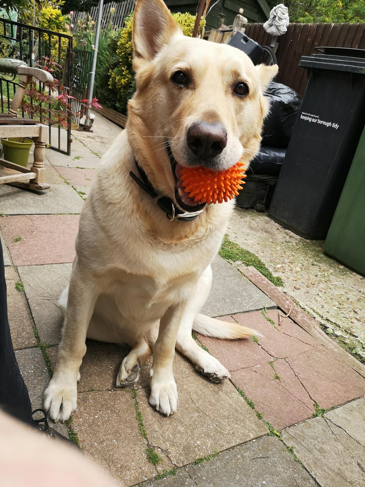 🤣 ¿Alimentan a sus hijos o los engordan? Madres de Retalhuleu ...