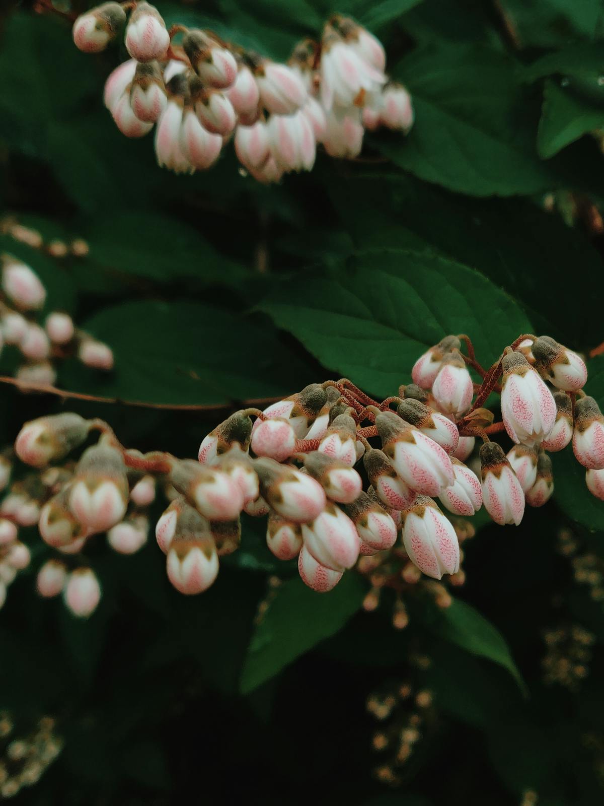 ¿Están los médicos mexicanos listos para el desafío de las...