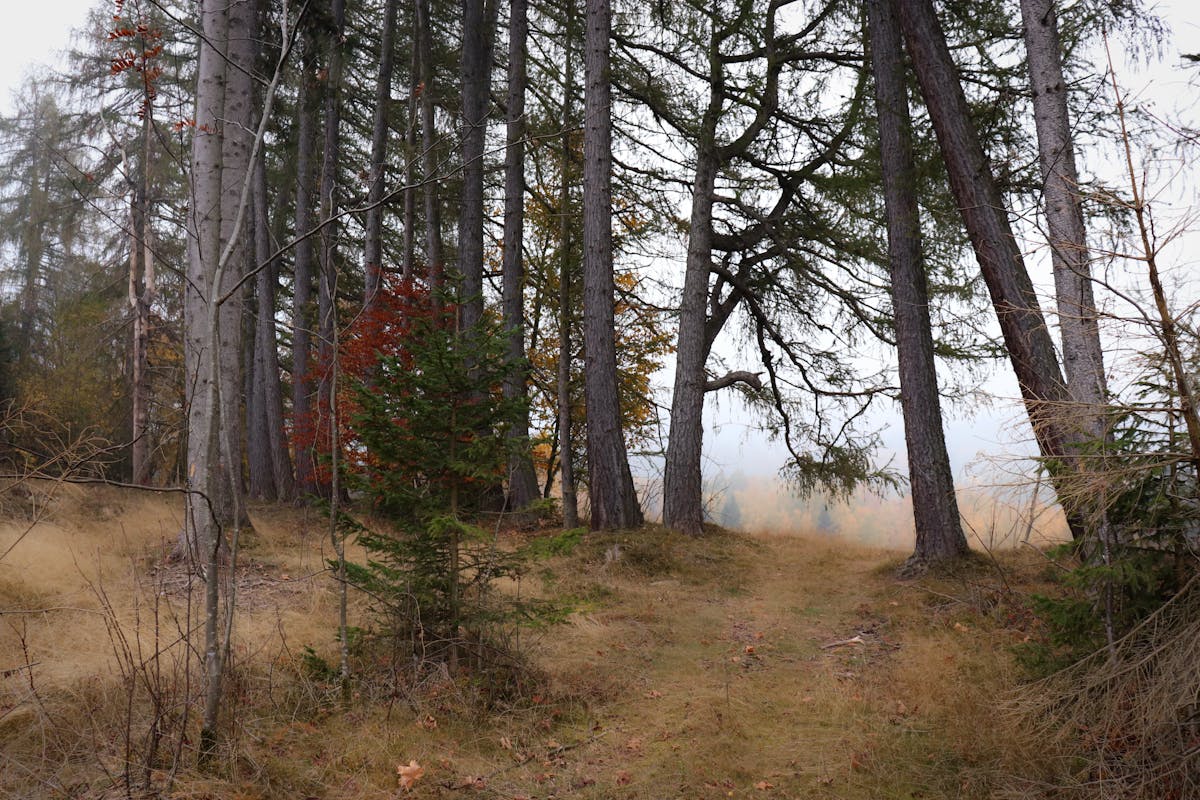 ¿Argentina en SXSW? ¡Espero que Tengan Plan B para su Cibe...