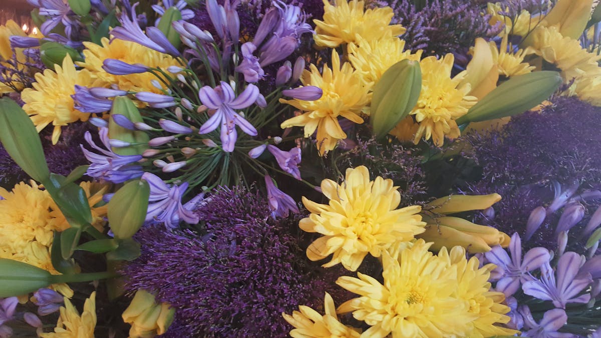 ¡Guatemala, ¿Estás Listo para Aprender a Hablar 22 Idiomas Sim...