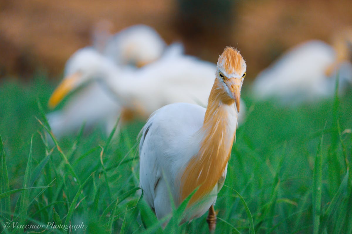 ¿Argentina vs Colombia, ¿Quién Tiene Ciberseguridad Mejor? 🚩
