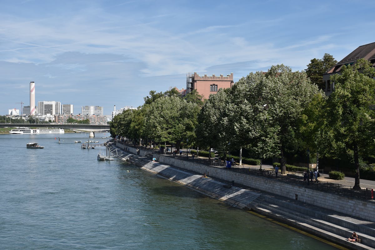 🐒 ¿De quién es el mono ahora?