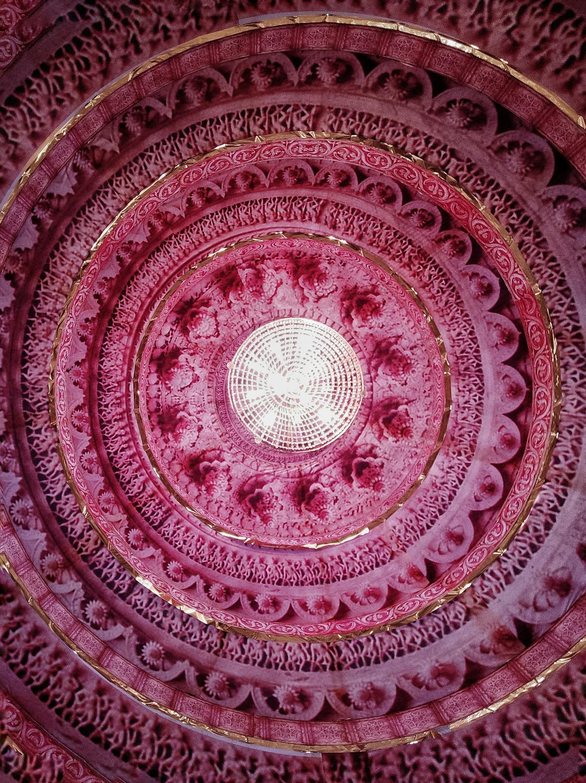 ¿Te Importa el Feng Shui de Tu Ficus o Solo Se Murió? 🌱