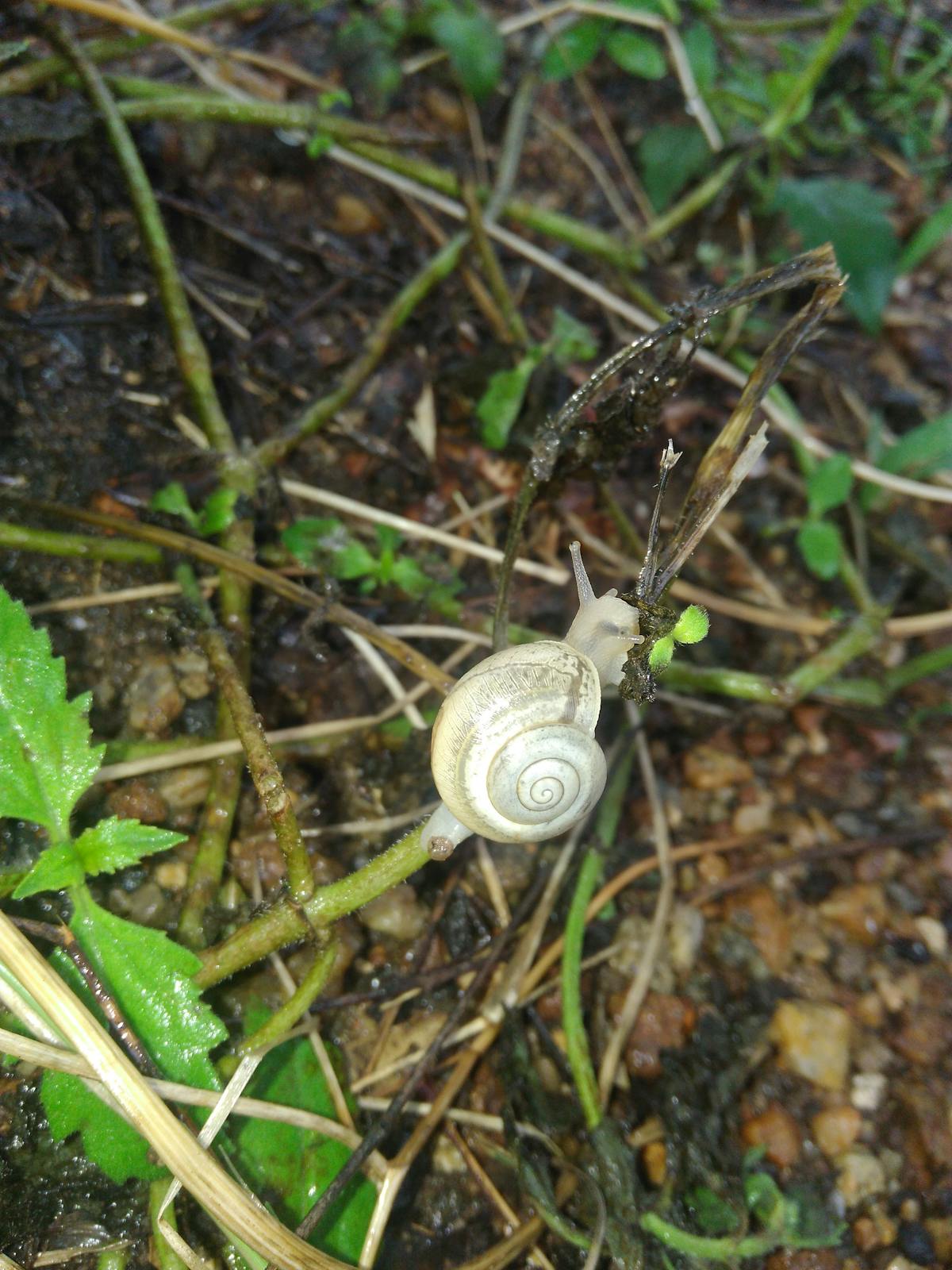 🚨 ¿Qué Pasó con los Chavos del Edomex? 🤯