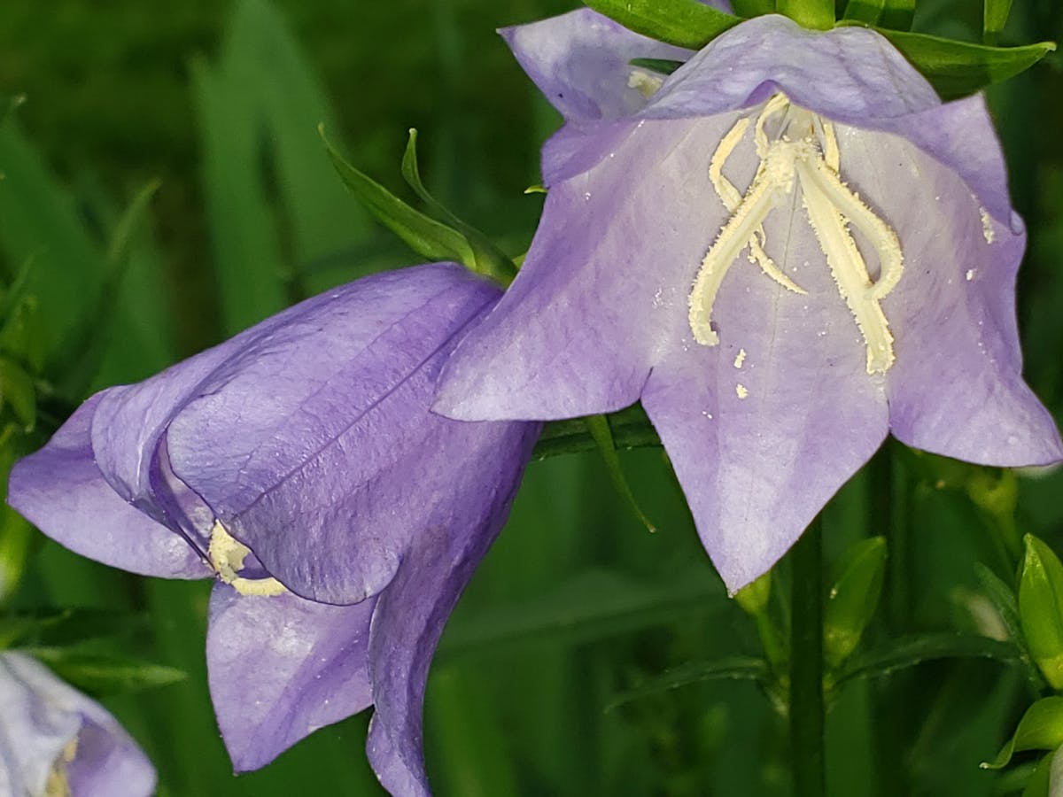 ¿Tu fondo de inversión es flexible o solo es un desastre esper...
