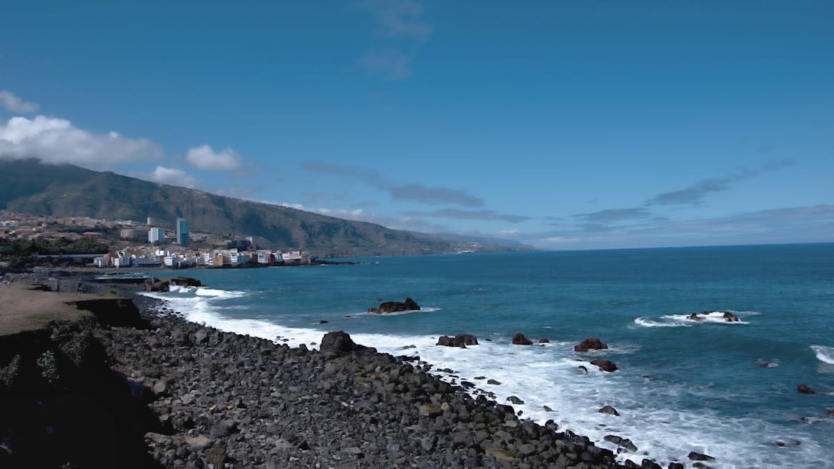 ¿No te diste cuenta que el concierto de @yareaguillen robó la ...