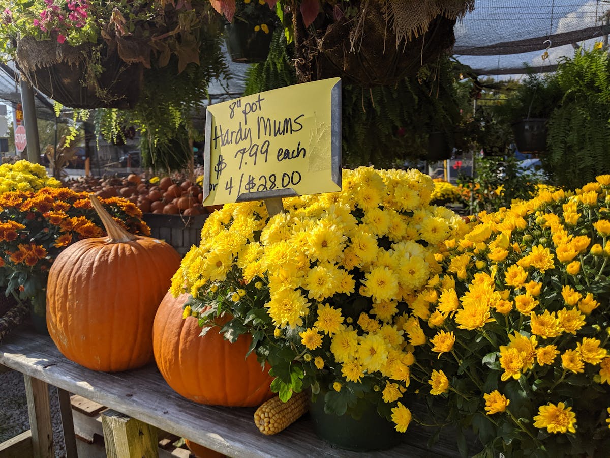 ¿Te Puedes Arreglar la Banda o Solo se Anda el Show? 🎸: Arcá...