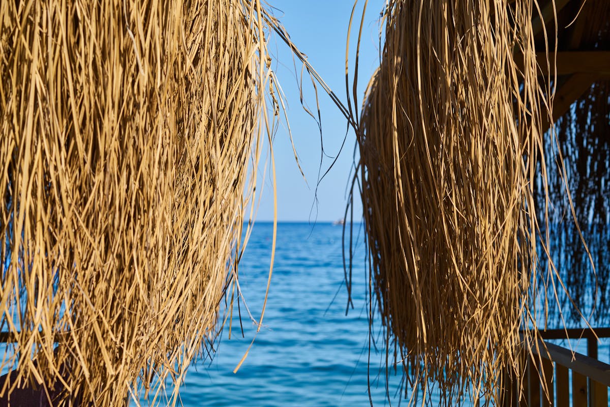 😂 ¡¿Elizabeth Banks, la profeta judía de la supervivencia empr...