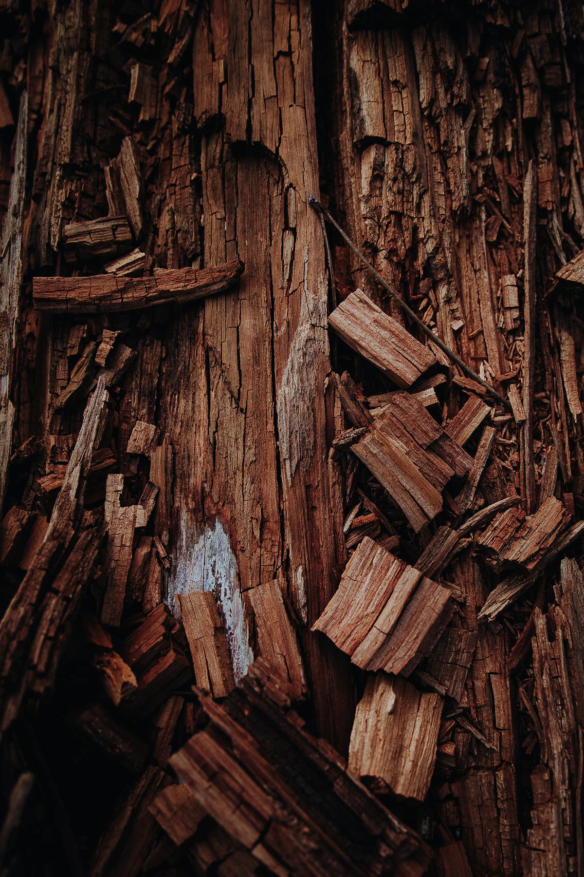 ¿Podrías Ganar o Perder $1 Millón con tu Startup? 💸