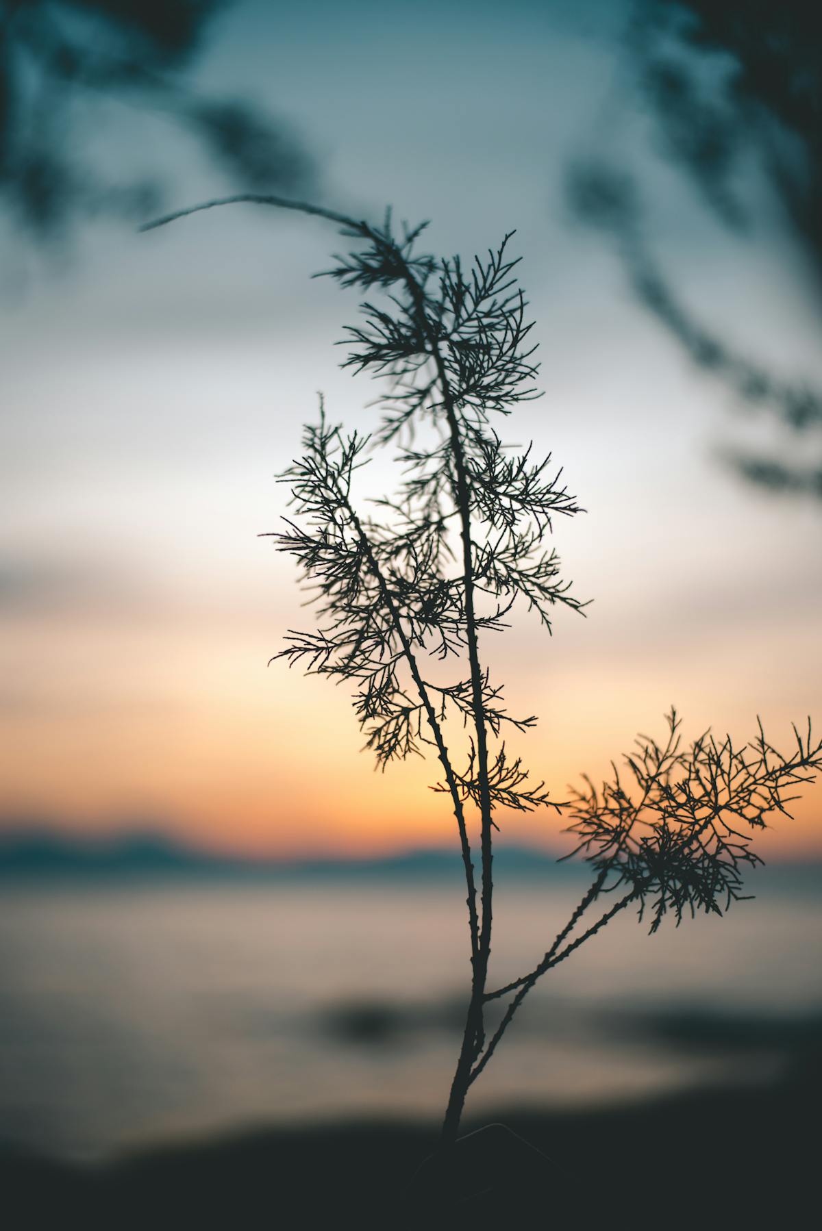 ¿Al chile? ¡40% de hotel en México canceladas por FIFA!