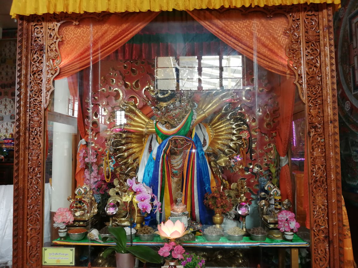 ¿Votarás este 8 de marzo? Aquí te dicen dónde 🗳️