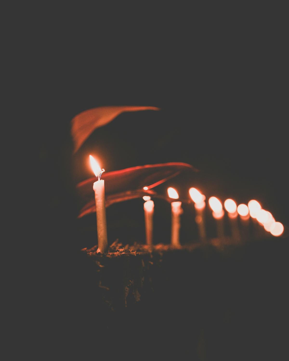 🤯 ¿Valen la pena las batallas que ganas a costa de tu autoestima?