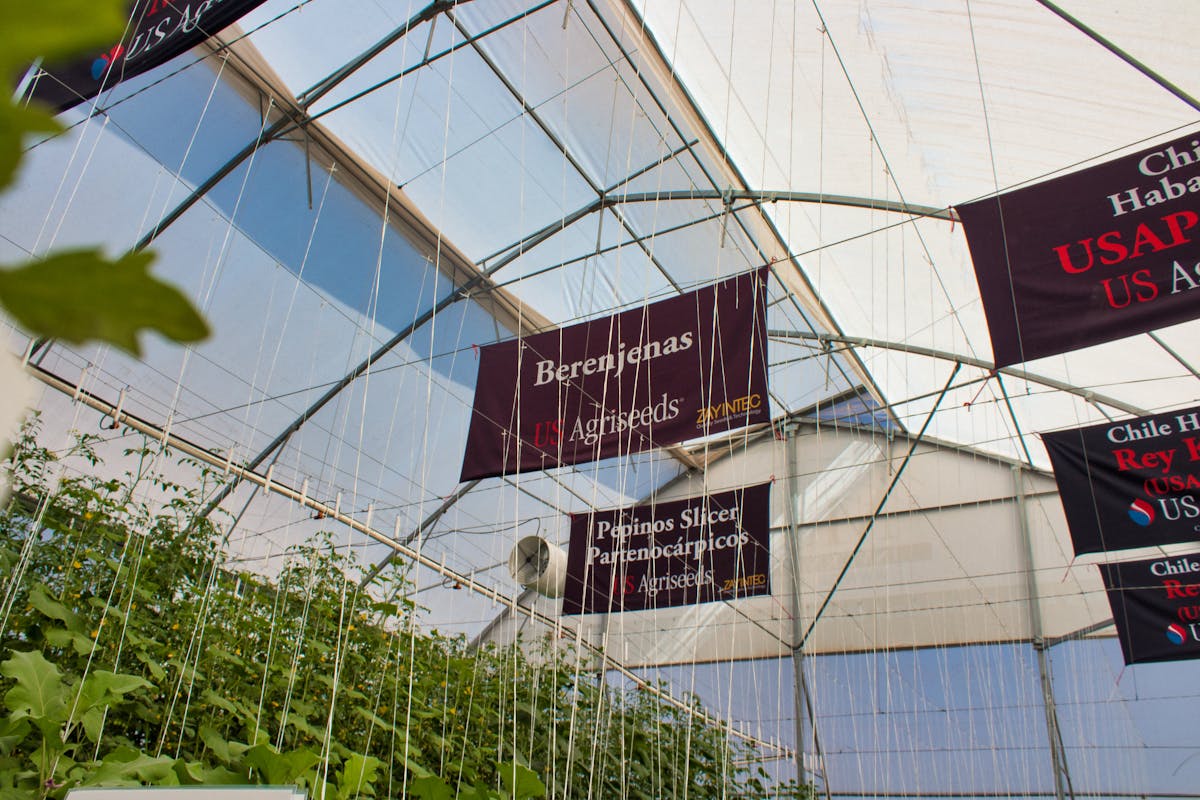 ¿Concierto de Temporada Extraordinaria “Boleros y baladas” es ...