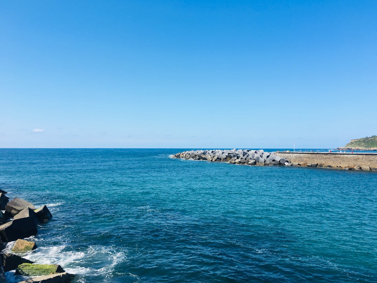 Esto es oro 👀: ¿Palm Beach se queda sin terapia por cuesti...