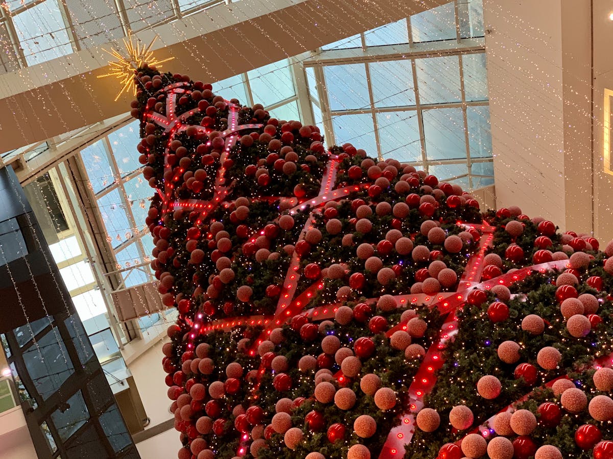 🚔 ¿Deportan a Colombia a los delincuentes o solo a los que se ...