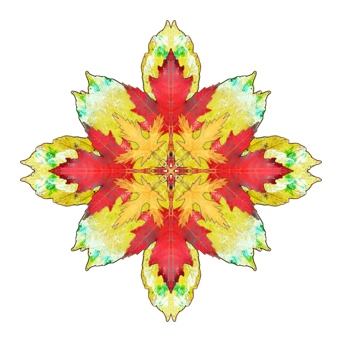 ¿Guatemala: Reforma o Más de lo Mismo? 🤯