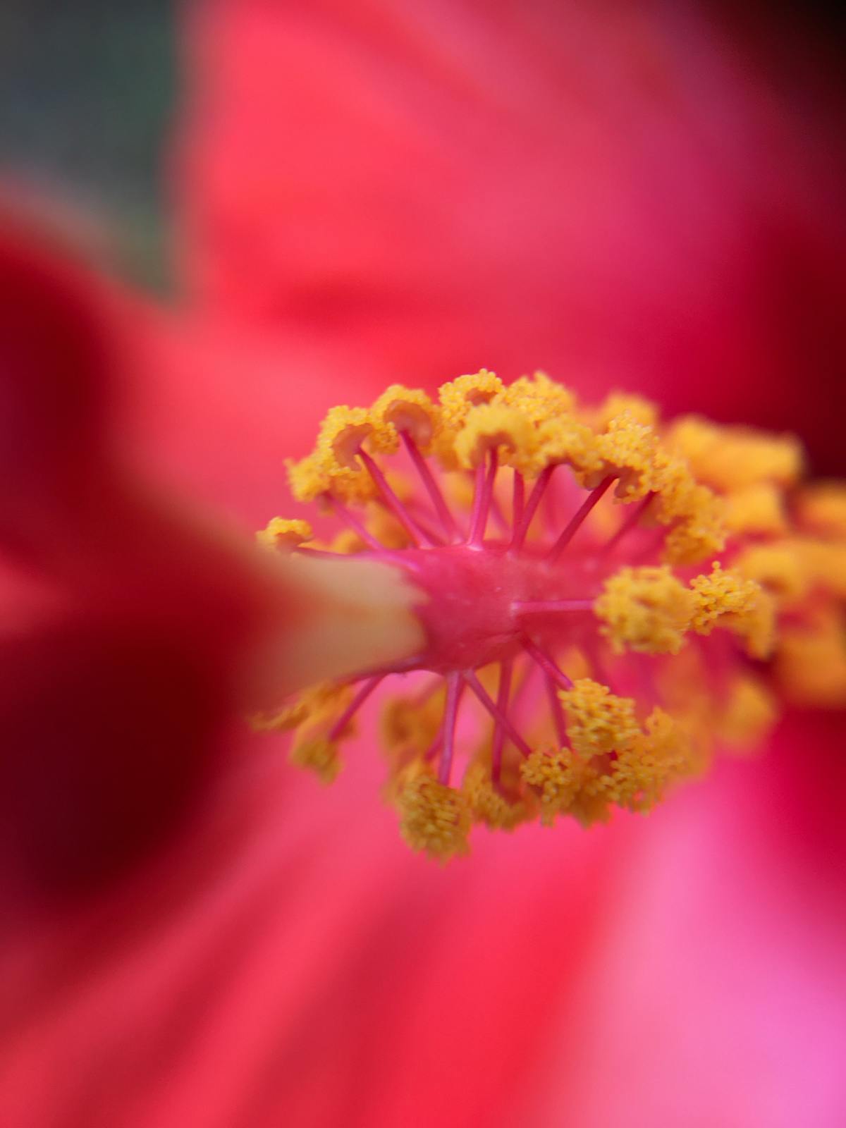 ¿Estás listo para el examen de vida o solo para la beca? 🤯 #...