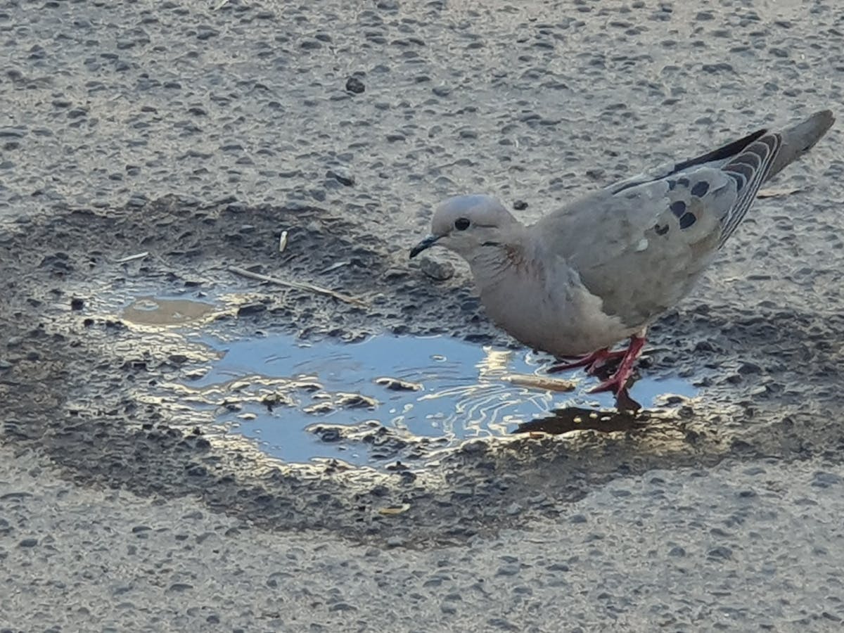 ¡Moda sin fronteras! 🌎 ¿La Semana de la Moda de Nueva York es ...