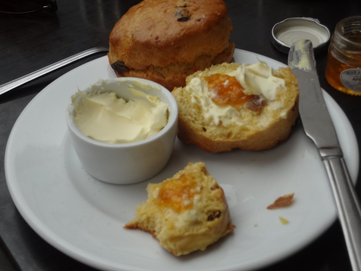 🤔 ¿Podrán las finlandesas recuperarse de la gripa y vencer a l...