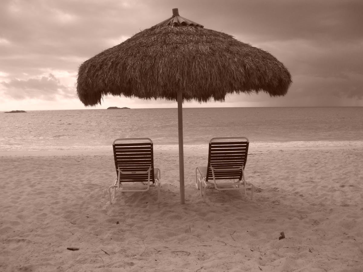 ¡Canada se Caído! ¿Qué pasó con la economía? 🚨