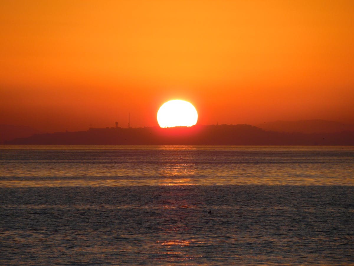 ¿Está Trump a la Vaina en Facebook? 🚫