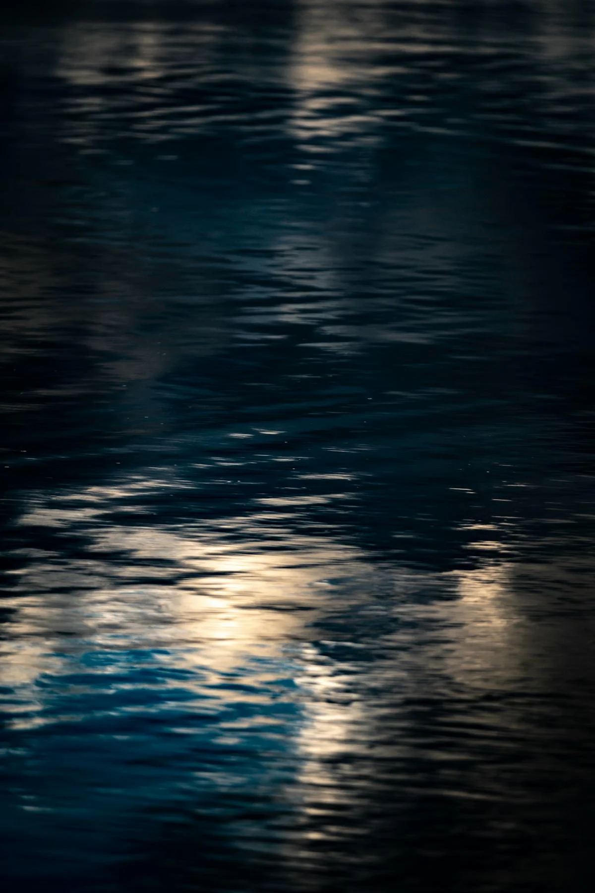 ¿Te Puedes Perder la Bolsa? Beneficencia Pública estrenará...